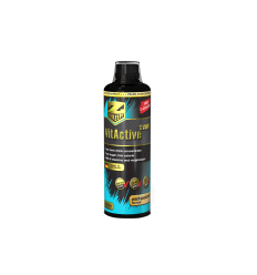 VITACTIVE SYRUP / Brzoskwinia