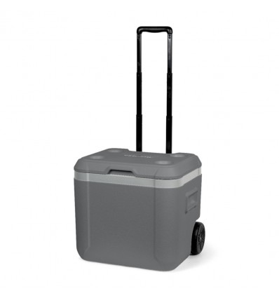 Lodówka Steamy Cool z uchwytem 52 l / szara