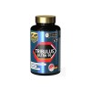 Tribulus Ultra 90