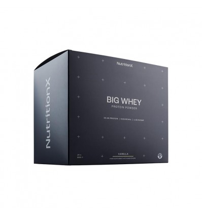 Big Whey Protein Powder 15 saszetek x 30 g / wanilia